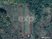 Teren 11,935mp Margineni / Strada Dubas 