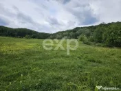 Teren 11,935mp Margineni / Strada Dubas 