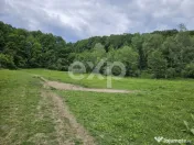 Teren 11,935mp Margineni / Strada Dubas 