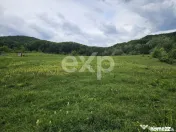 Teren 11,935mp Margineni / Strada Dubas