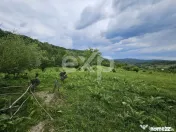 Teren 11,935mp Margineni / Strada Dubas