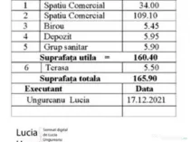 Sp.com-160,4mp+terasa-5,5mp+3parcari/8min pe jos metrou D...