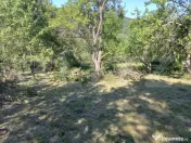 Teren intravilan 4.175 mp în Inuri – ideal cabană/casă 