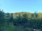 Teren intravilan 4.175 mp în Inuri – ideal cabană/casă 