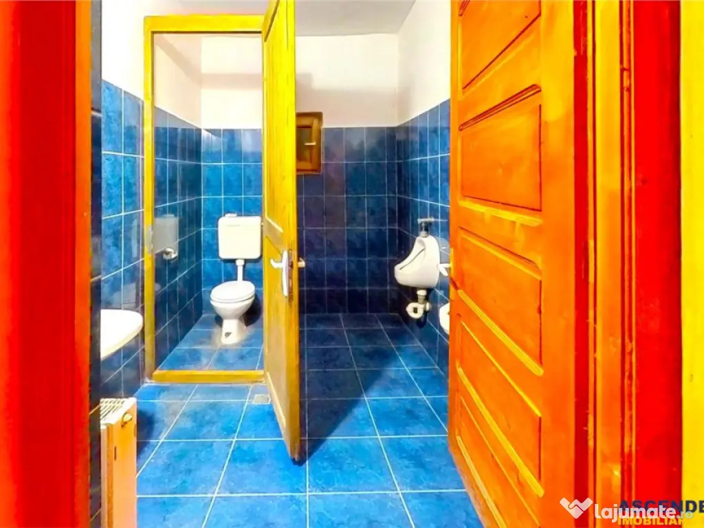 Tur 3D! Proprietate versatila:rezidential comercial investi