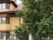 Vila Premium, Robusta, Versatila, Colentina (Parc Plumbuita) 