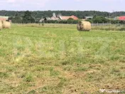 Teren intravilan generos + 2 case – 15.277 mp, front 30 m, 