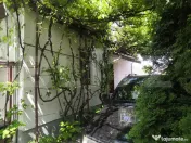 Teren intravilan generos + 2 case – 15.277 mp, front 30 m, 