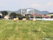 Teren intravilan generos + 2 case – 15.277 mp, front 30 m, 