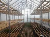 Teren intravilan generos + 2 case – 15.277 mp, front 30 m, 