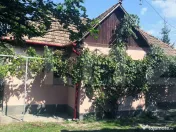 Teren intravilan generos + 2 case – 15.277 mp, front 30 m, 