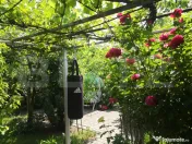 Teren intravilan generos + 2 case – 15.277 mp, front 30 m, 