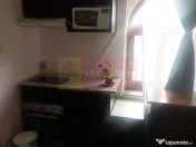 Studio in vila | Mobilat | Kiseleff, Sector 1 