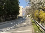 Teren cu potential investitional – Sovata, zona Lacul Ursu 