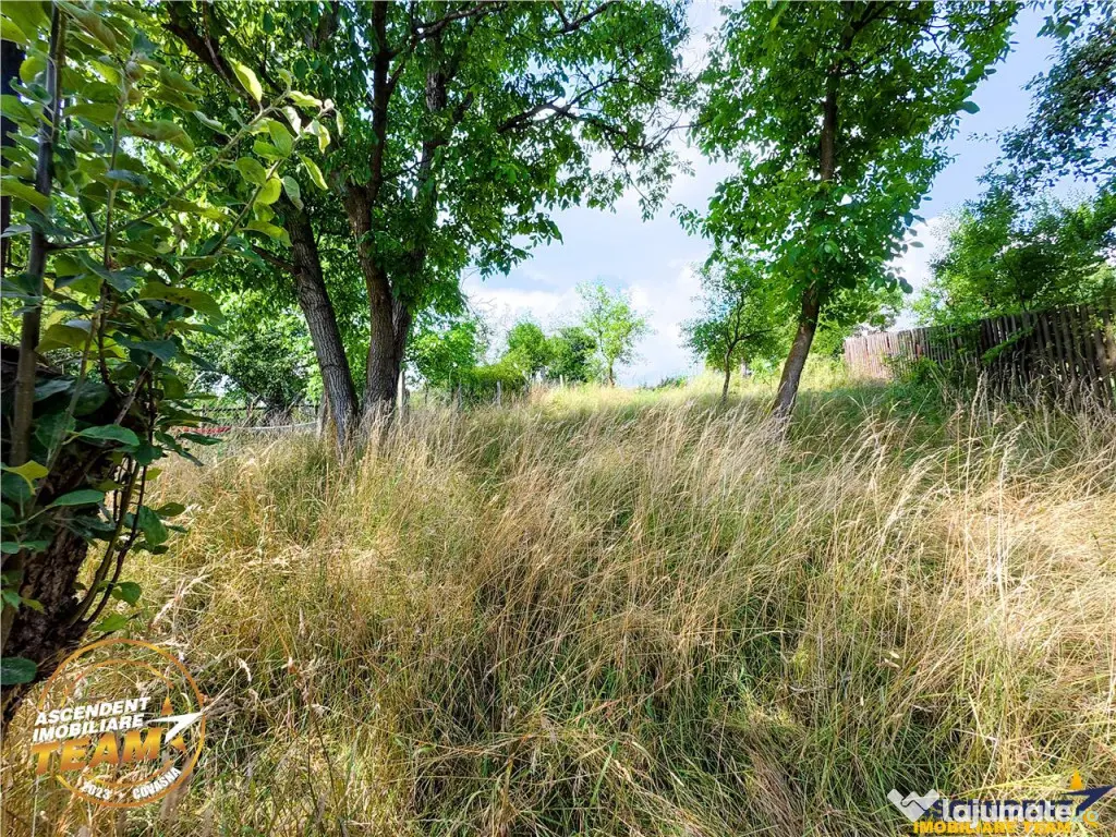 Casa traditionala din lemn, cu sura din piatra, Arcus, Covas