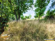 Casa traditionala din lemn, cu sura din piatra, Arcus, Covas 