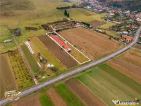 FILM! Ferma de iepuri,Malnas,Covasna: domeniu:industrial com 