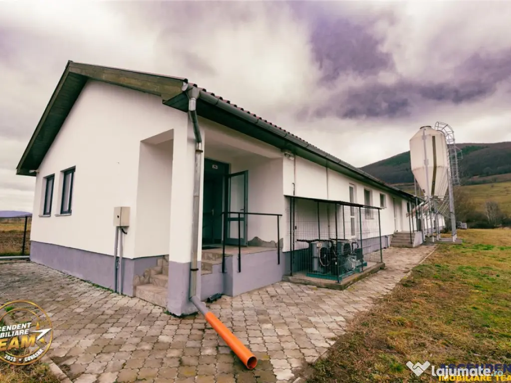 FILM! Ferma de iepuri,Malnas,Covasna: domeniu:industrial com