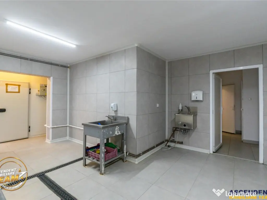 FILM! Ferma de iepuri,Malnas,Covasna: domeniu:industrial com