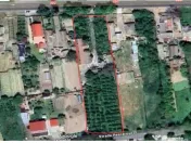 Casa de vanzare in Faclia 