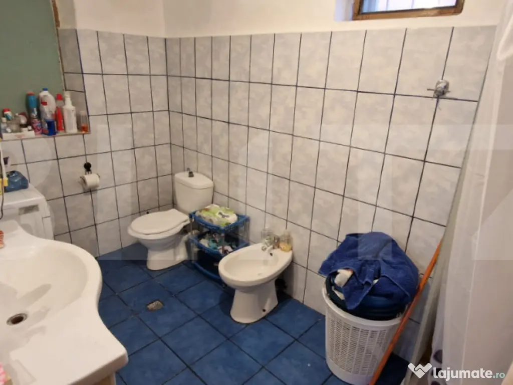 Casa modesta, 651 mp teren, zona Romanesti