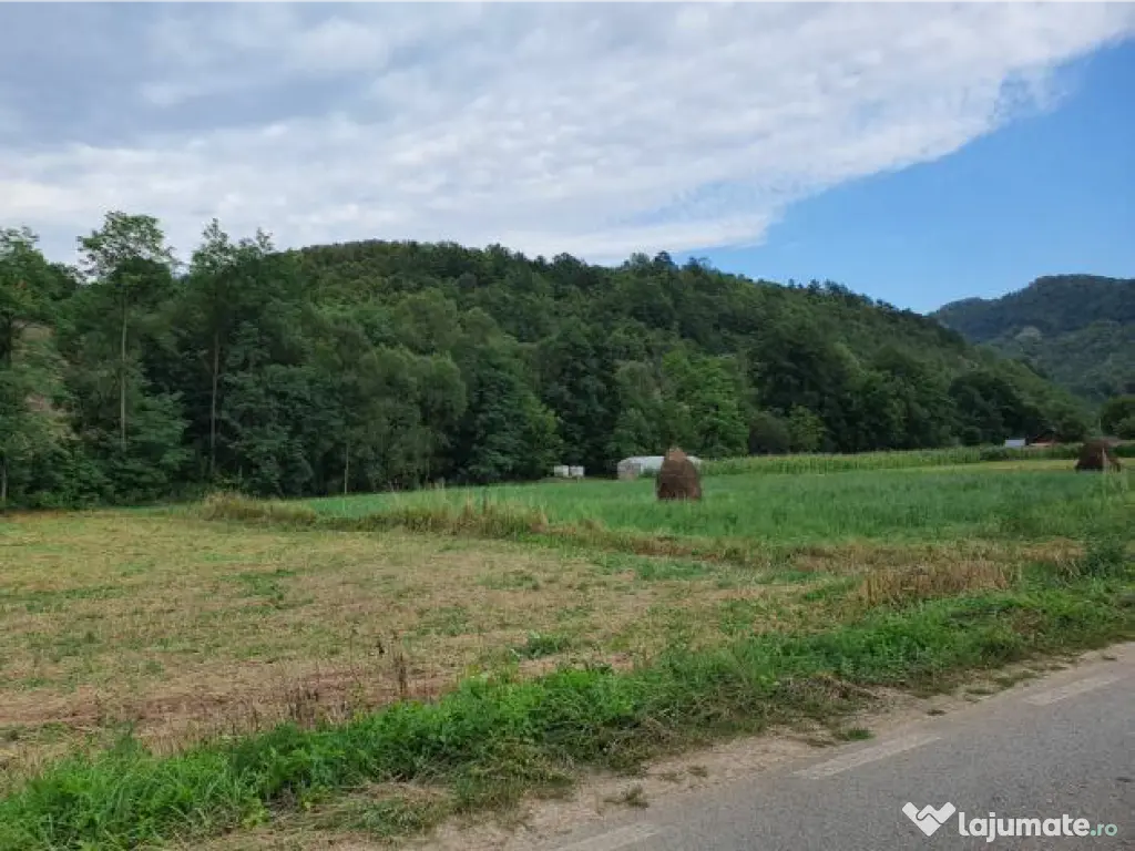 Doua terenuri extravilane 1440mp si 1500 mp, BAITA, Hunedoara - REDUS 15%