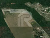 BALOTESTI - EDENLAND - ideal investitie - Teren 5.254 mp, l 