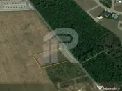 BALOTESTI - EDENLAND - ideal investitie - Teren 5.254 mp, l 