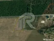 BALOTESTI - EDENLAND - ideal investitie - Teren 5.254 mp, l 