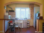 Lunei - Ion Neculce, 2 Apartamente. Mansarda 157 mp. Anex... 