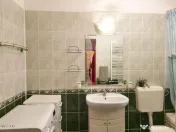 Lunei - Ion Neculce, 2 Apartamente. Mansarda 157 mp. Anex... 