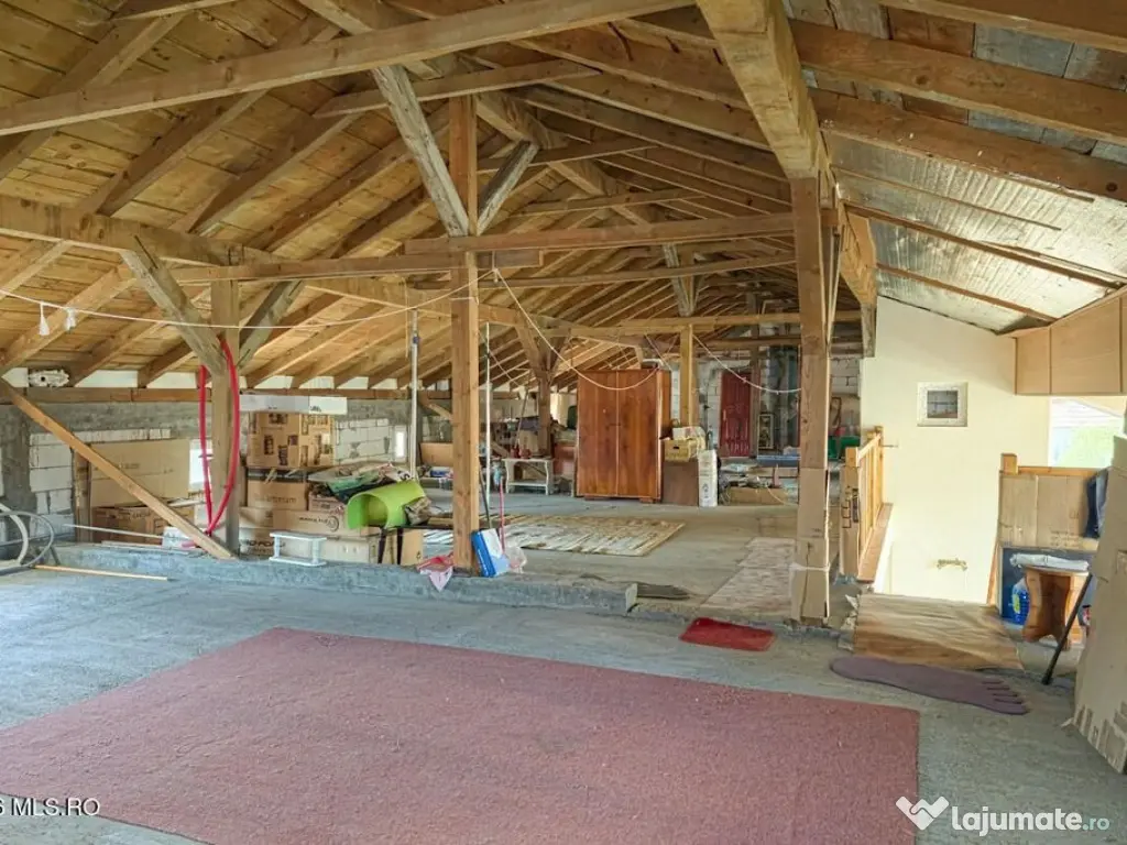 Lunei - Ion Neculce, 2 Apartamente. Mansarda 157 mp. Anex...