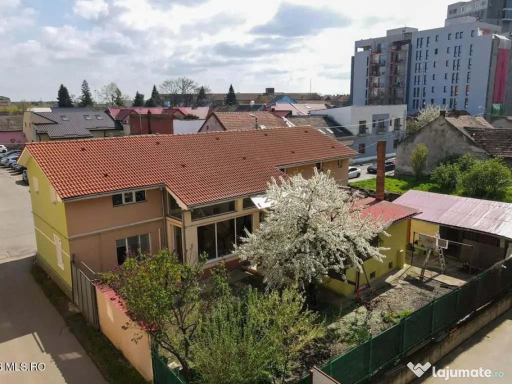 Lunei - Ion Neculce, 2 Apartamente. Mansarda 157 mp. Anex...