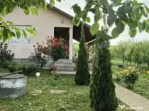 Proprietate deosebită cu livadă matură și cabană – zo
