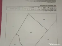 Vând teren forestier