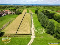 Teren intravilan,2.900mp,recomandat: investitional rezident