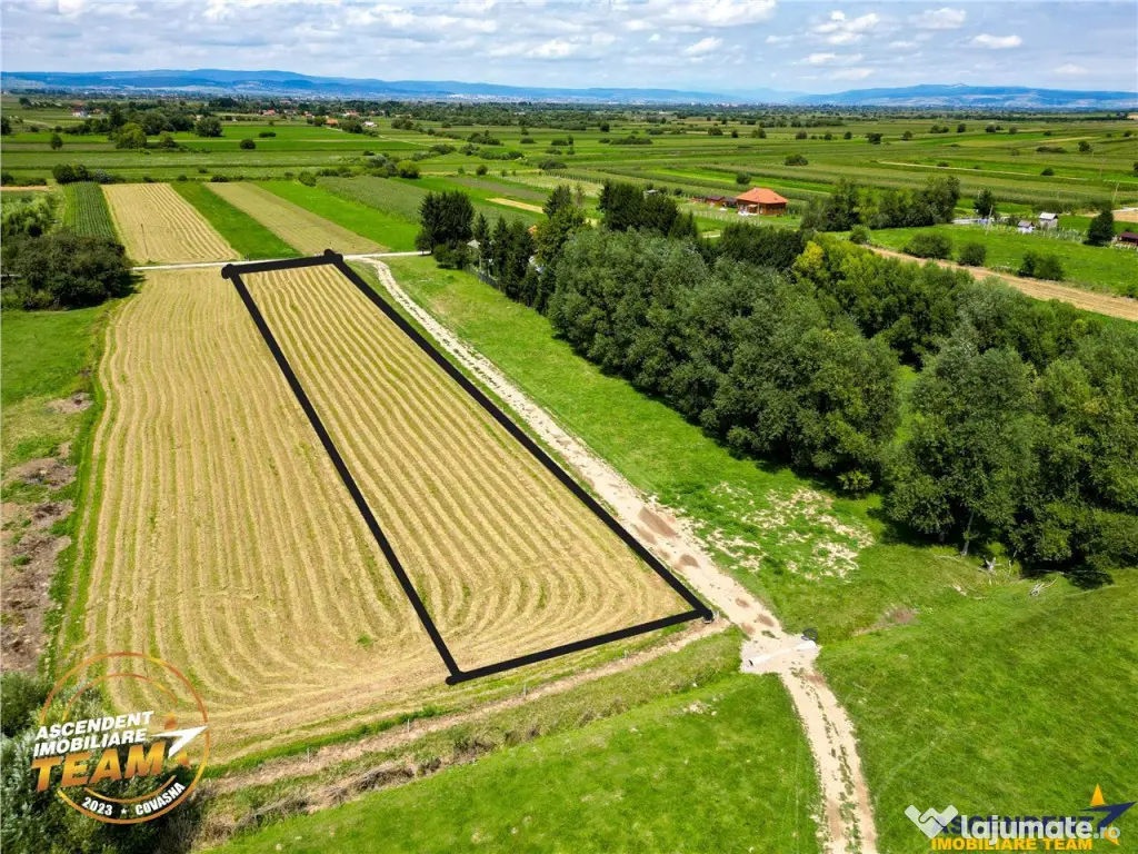 Teren intravilan,2.900mp,recomandat: investitional rezident