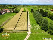 Teren intravilan,2.900mp,recomandat: investitional rezident
