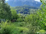 Complex turistic cu traditie,integrat in circuit, Rezervatia 