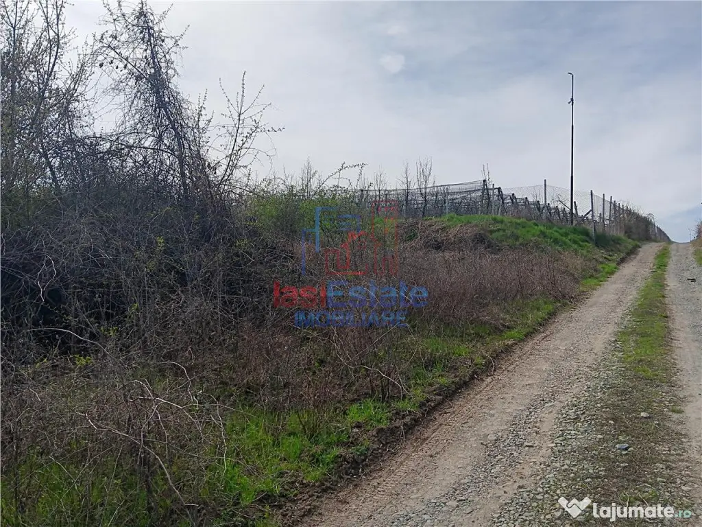 Visan str Castanul Unirii TEREN 729mp cu dubla deschidere to