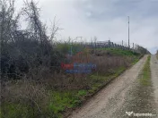 Visan str Castanul Unirii TEREN 729mp cu dubla deschidere to 