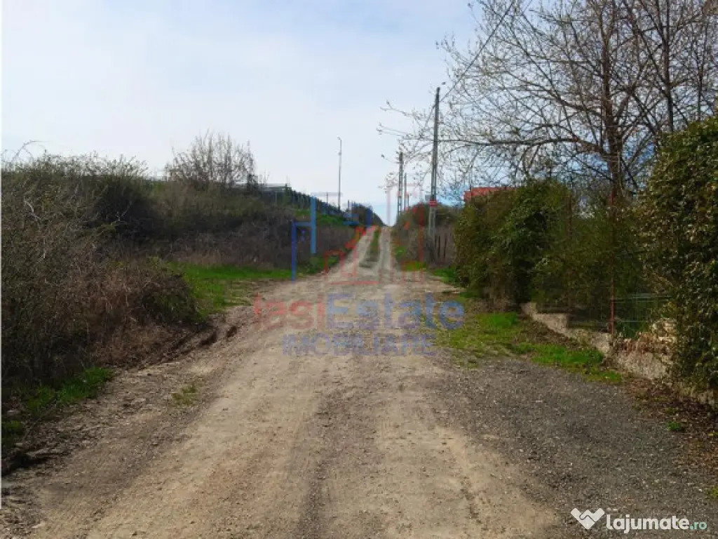 Visan str Castanul Unirii TEREN 729mp cu dubla deschidere to
