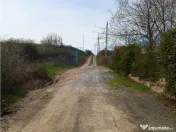 Visan str Castanul Unirii TEREN 729mp cu dubla deschidere to 