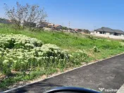 Proprietar vand 3008mp teren intravilan str. Ana Aslan Craiova Dolj 