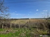 Teren 7,000mp Girov / deschidere 45 metri 