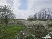 TEREN INTRAVILAN la 20 minute de Bucuresti 