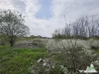 TEREN INTRAVILAN la 20 minute de Bucuresti