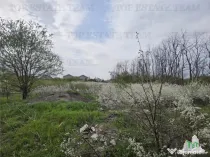 TEREN INTRAVILAN la 20 minute de Bucuresti