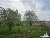 TEREN INTRAVILAN la 20 minute de Bucuresti 