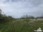 TEREN INTRAVILAN la 20 minute de Bucuresti 